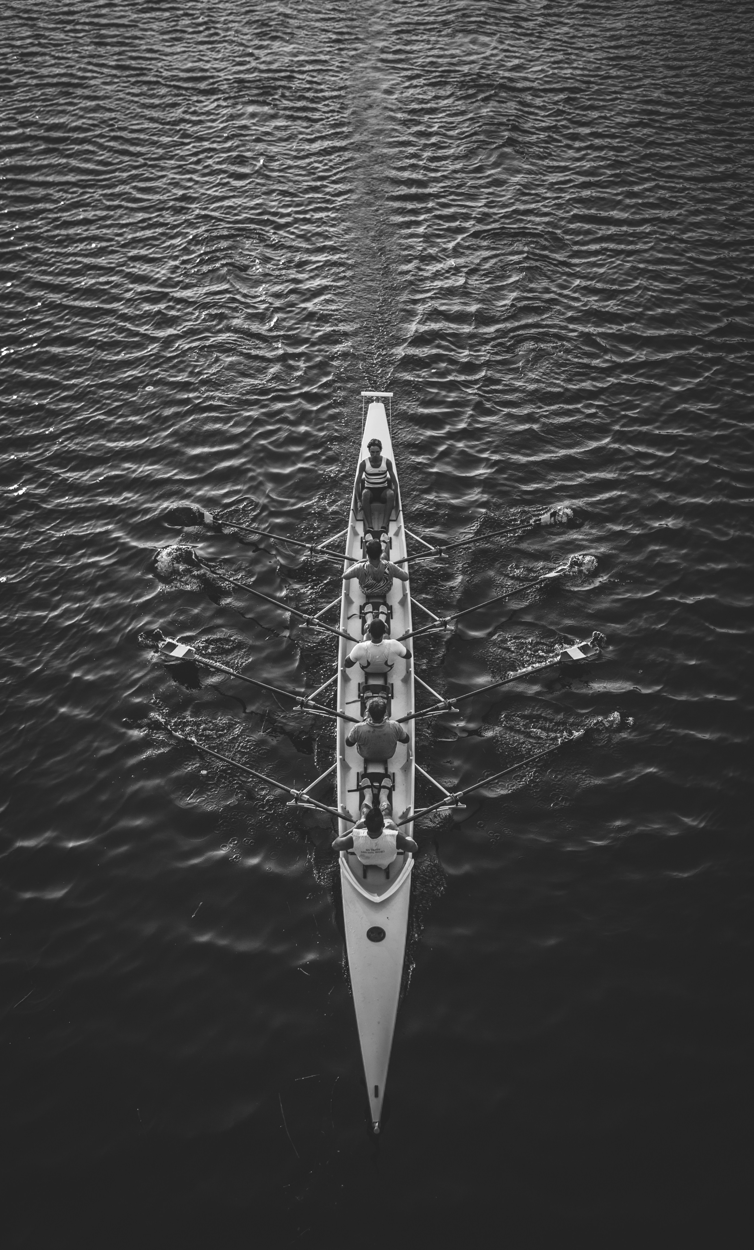 Teamwork in a boat